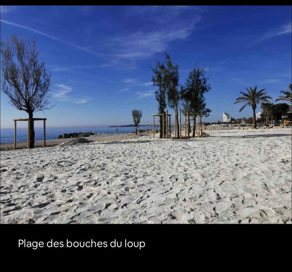 Appartement Magnifique 60 m2 les pieds dans l'eau à Villeneuve-Loubet Extérieur photo